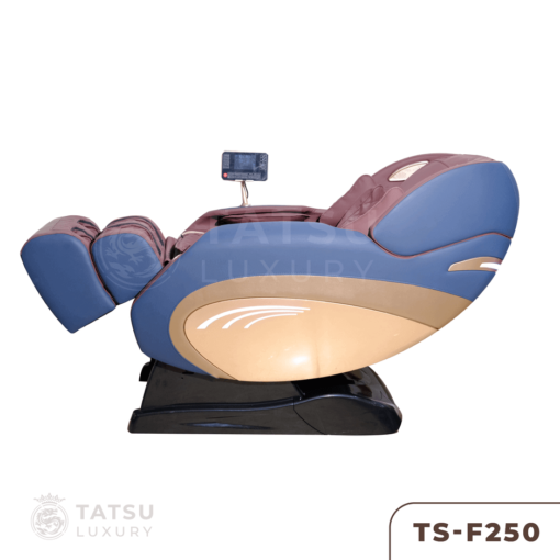 Ghế massage TS-F250