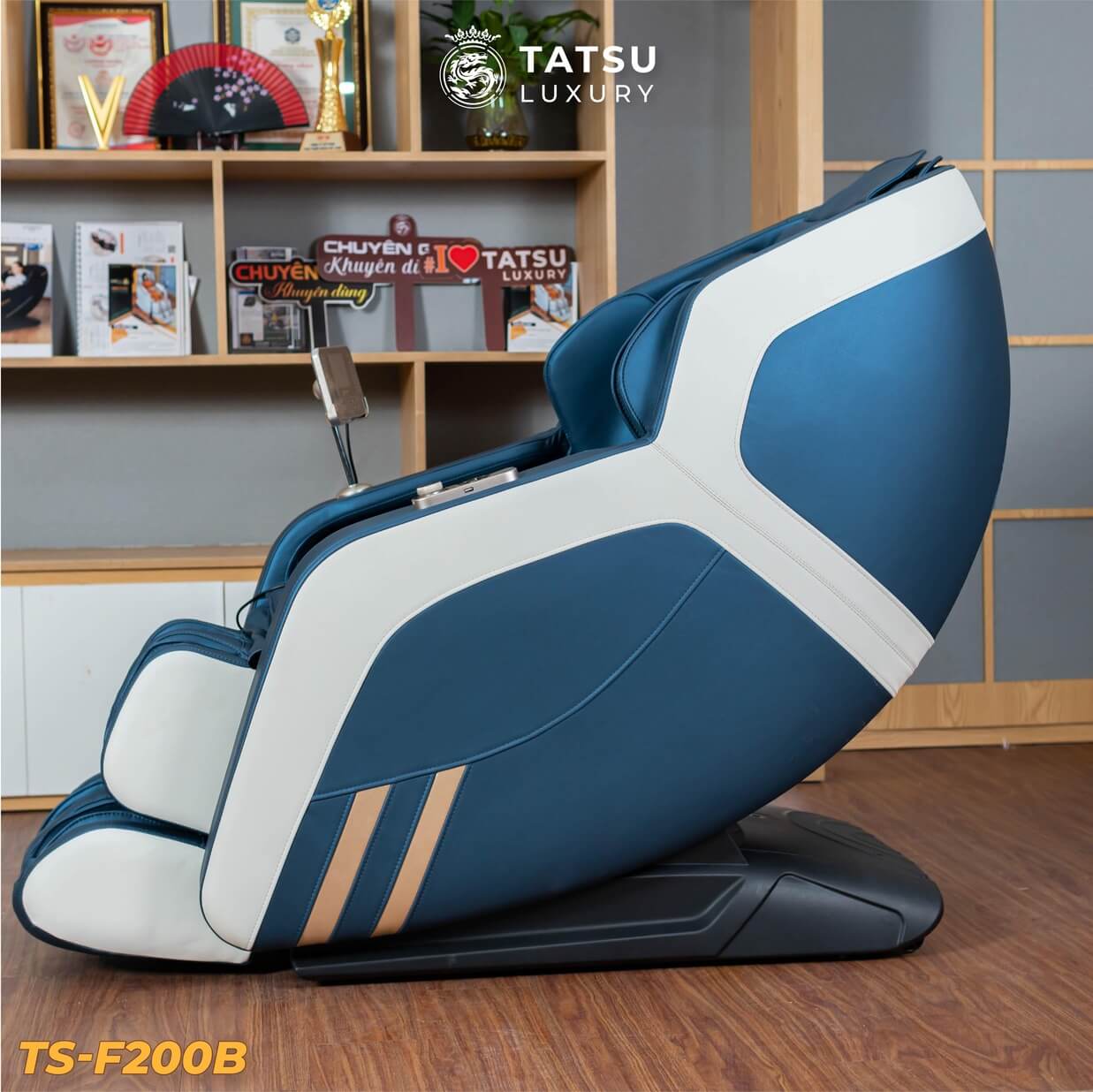 Ghế massage TS-F200B
