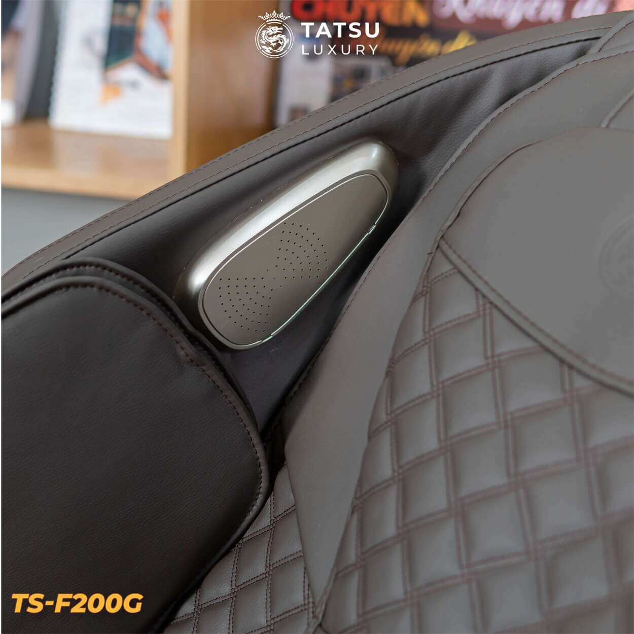 Ghế massage TS-F200G